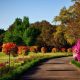Scenic park pathway with colorful flowering trees and bushes.
